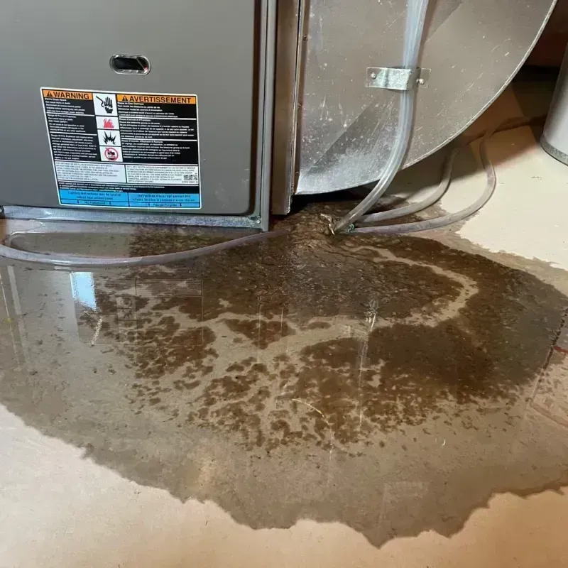 Appliance Leak Cleanup in Camargo, KY